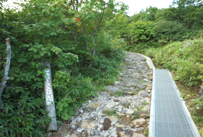 The Chuo trail entrance is next to the mountain hut