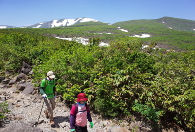 大きな岩に登ると栗駒山（左）と東栗駒山（右）が見渡せます。春