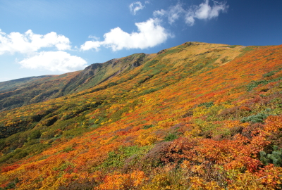 紅葉最盛期（9月下旬～10月上旬頃）、綾羅錦繍の絶景です