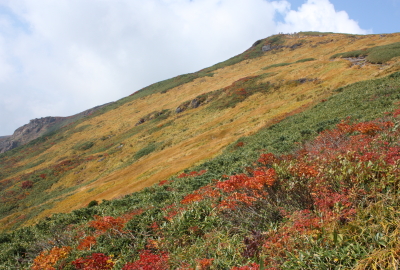 秋山（9月下旬〜10月上旬）、山頂南側の急斜面は草黄葉がきれい