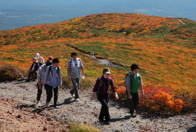 紅葉最盛期（9月下旬～10月上旬頃）、紅葉を楽しむ登山者、いわかがみ平方向