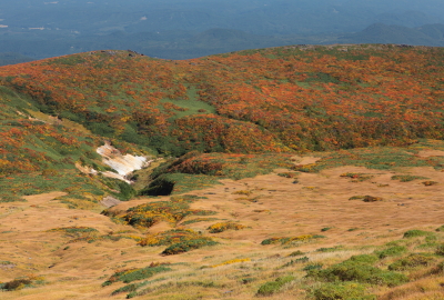 新湯沢源頭上部に広がる草原、紅葉時期は草紅葉が美しい