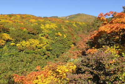 新湯沢から急登を少し登ると視界が開け、山頂が見えてきます