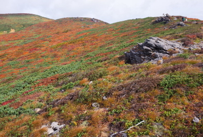 東栗駒山の稜線はなだらかで歩きやすいですが、いつも強風が吹いています