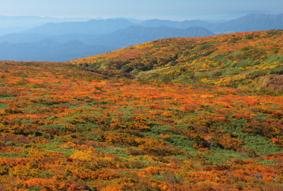 View from the Higashi Kurikoma trail, the Central trail and mountains