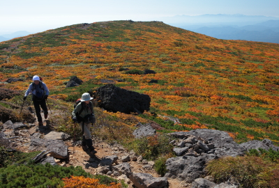登山道を振り返ると東栗駒山稜線の紅葉が美しい