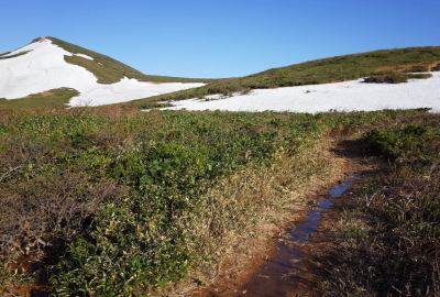 残雪期、登山道は水たまりとなるため、防水登山靴とGaiterが必需品