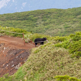 contribution_IMG_47552