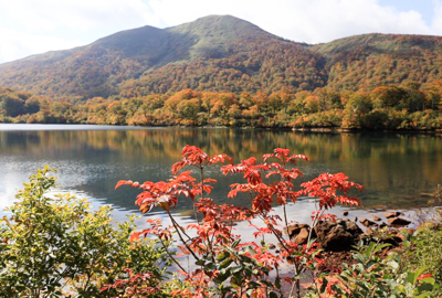 紅葉情報（10月15日）須川湖
